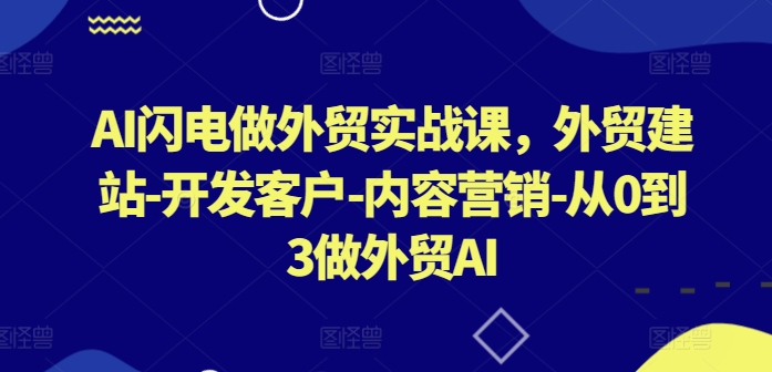 AI闪电做外贸实战课，​外贸建站-开发客户-内容营销-从0到3做外贸AI-沐颜网创资源