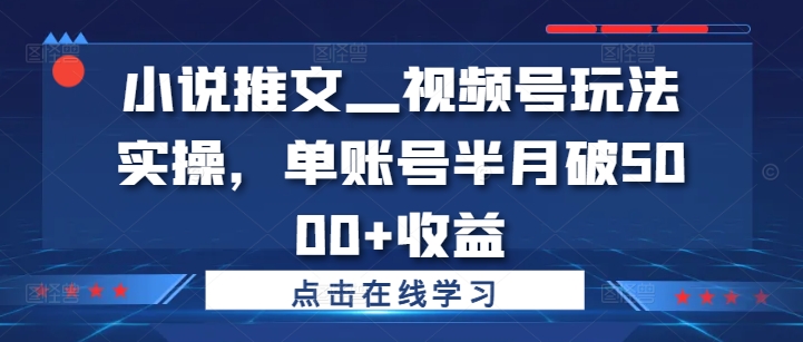 小说推文—视频号玩法实操，单账号半月破5000+收益-沐颜网创资源