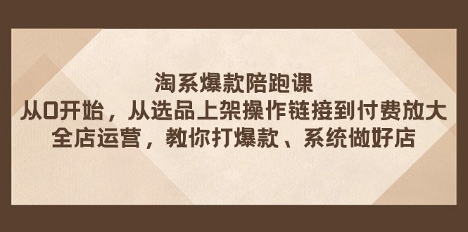 淘宝爆品陪跑课 从选款发布实际操作链接到付钱变大 店铺经营 打爆款 系统软件搞好店-沐颜网创资源