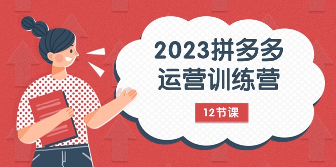 2023拼多多运营训练营：流量底层逻辑，免费+付费流量玩法-沐颜网创资源