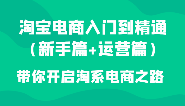 淘宝电商入门到精通陪你打开淘宝电子商务之途-沐颜网创资源