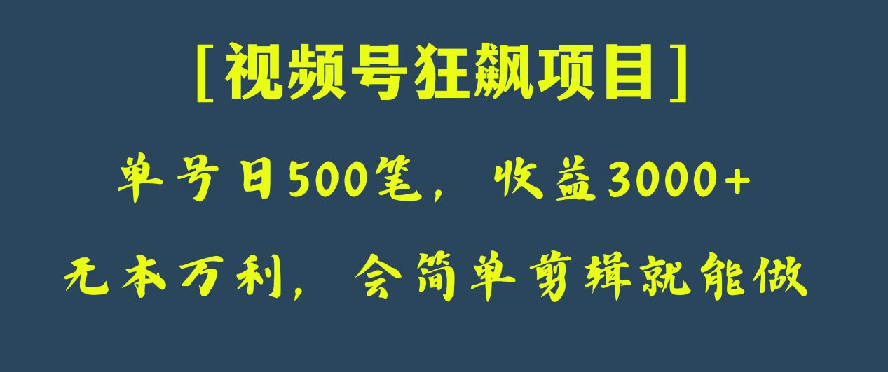 日收付款500笔，净利润3000 ，微信视频号狂飚新项目！-暖阳网-优质付费教程和创业项目大全-沐颜网创资源