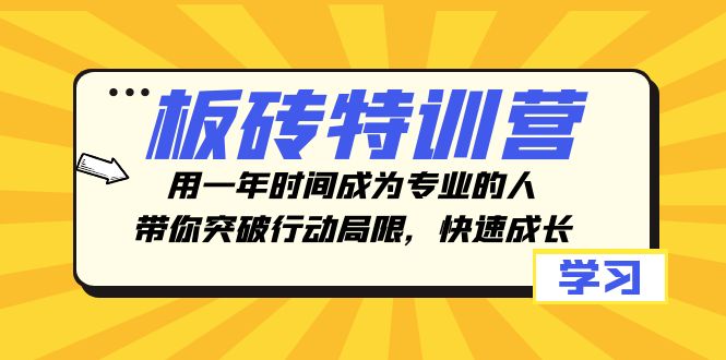 砖头夏令营，用一年时间变成专业人，陪你突破行动局限性，快速增长-暖阳网-优质付费教程和创业项目大全-沐颜网创资源