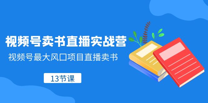 视频号卖书直播实战营，视频号最大风囗项目直播卖书-暖阳网-优质付费教程和创业项目大全-沐颜网创资源
