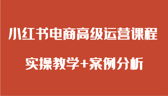 小红书电商高端营销课程 实际操作课堂教学 经典案例-沐颜网创资源