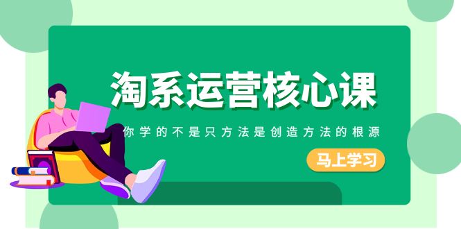 淘宝运营核心课，你学的不仅仅是方式反而是造就方式的根本原因-沐颜网创资源