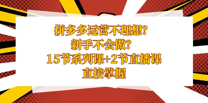 拼多多运营不太理想？初学者做不来？15节系列产品课 2节视频课堂懂得立即把握-沐颜网创资源