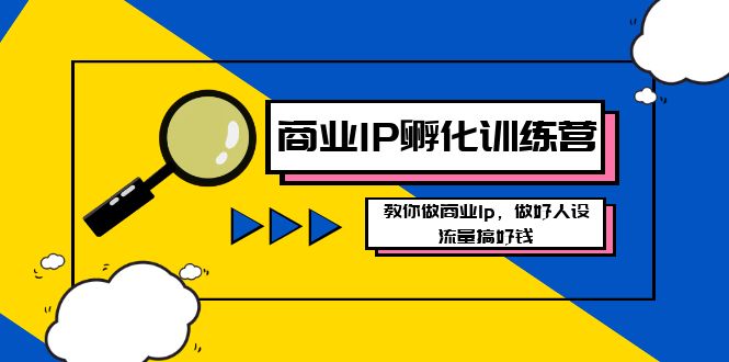 商业服务IP卵化夏令营新版本，手把手带你商业服务Ip，搞好人物关系，总流量做好钱-沐颜网创资源