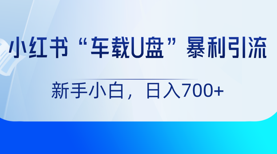 小红书“车载U盘”项目，暴利引流，新手小白轻松日入700+-沐颜网创资源