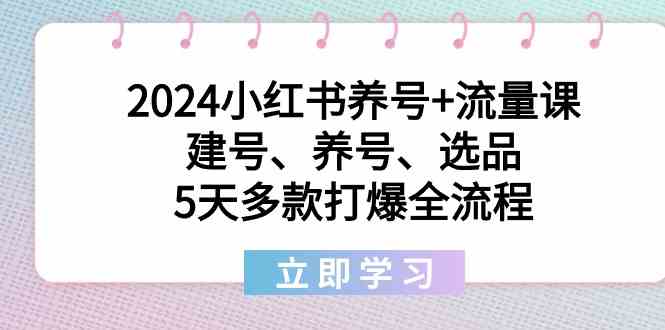 2024小红书的起号 总流量课：创号、起号、选款，5天几款打穿全过程-沐颜网创资源