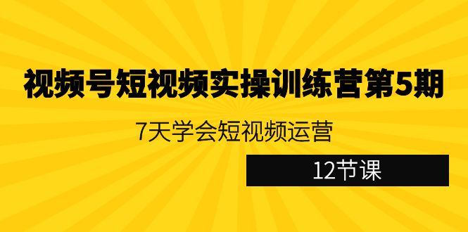 视频号短视频实操训练营第5期：7天学会短视频运营-沐颜网创资源