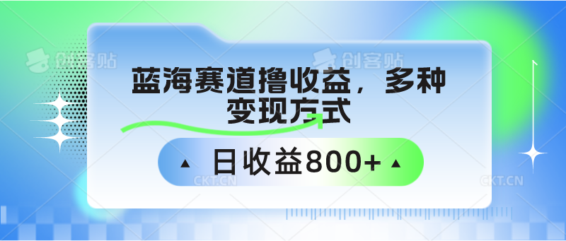 中老年人健身操瀚海跑道撸盈利，多种多样变现模式，日盈利800-沐颜网创资源