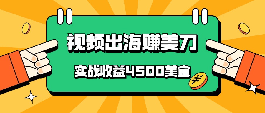 中国爆款短视频出航赚美金，实战演练盈利4500美元，大批量没脑子运送，无需经验直接上手-沐颜网创资源
