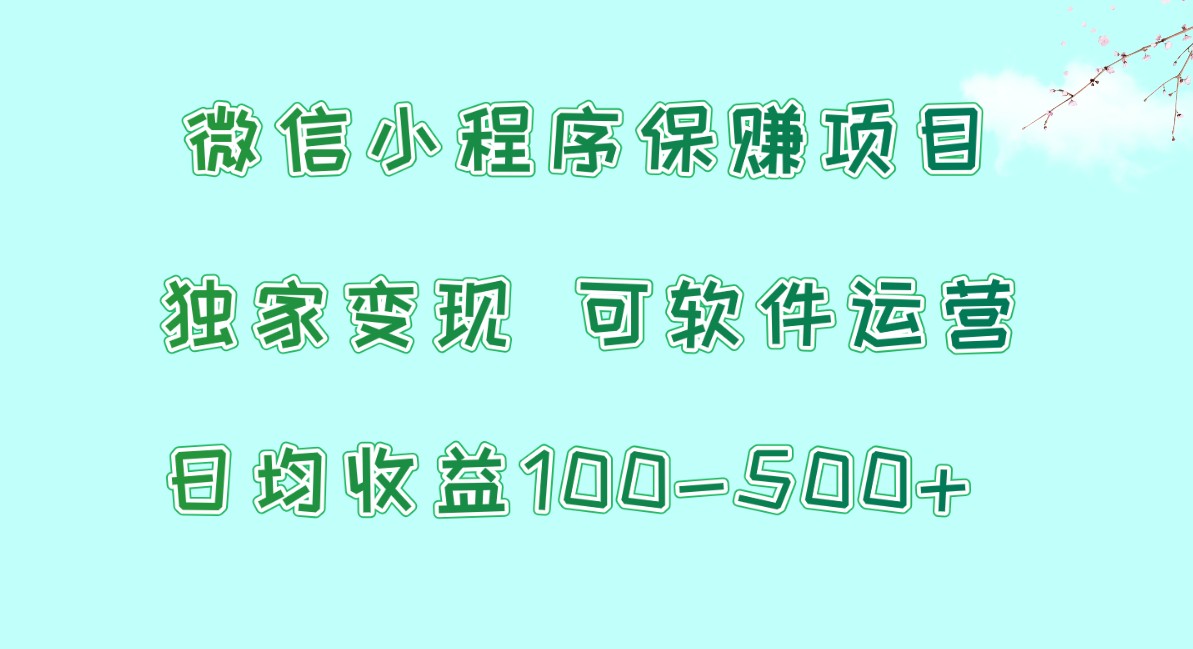 小程序保赚新项目，日均盈利100~500 ，独家代理转现，可软件运营-沐颜网创资源