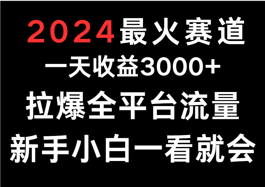 2024最红跑道，一天收一3000 .拉爆全用户流量，新手入门一看就会-沐颜网创资源
