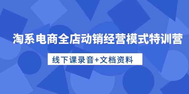 淘系电商全店动销经营模式特训营，线下课录音+文档资料-沐颜网创资源
