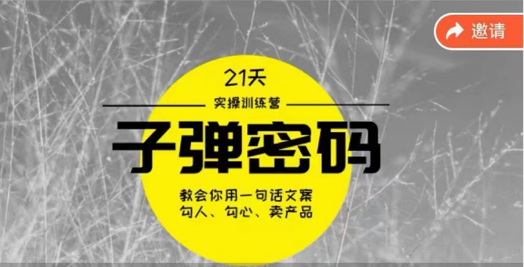 《子弹密码训练营》用一句话文案撩人勾心推销产品，21天学习到顶尖文案高手方案和方法-沐颜网创资源