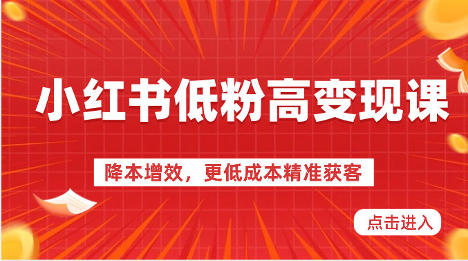 小红书的低筋粉高转现课-降低成本，更低成本营销获客，小红书的必出平台流量登陆密码-沐颜网创资源