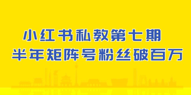 小红书的私人教练第七期，小红书的90天增粉18w，1周增粉过万 大半年矩阵账号粉丝们破百万-沐颜网创资源