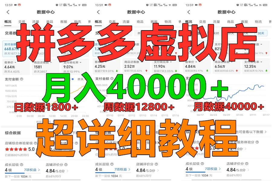 拼多多虚拟电商训练营月入40000+，全网最详细，你做你也行，暴利稳定长久-沐颜网创资源