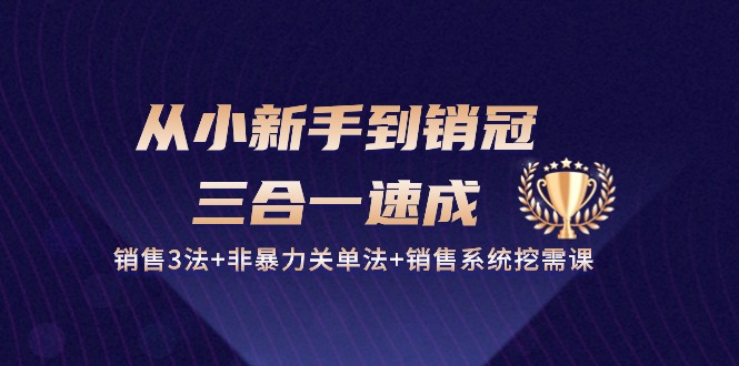从小新手到销冠三合一速成：销售3法+非暴力关单法+销售系统挖需课 (27节)-沐颜网创资源