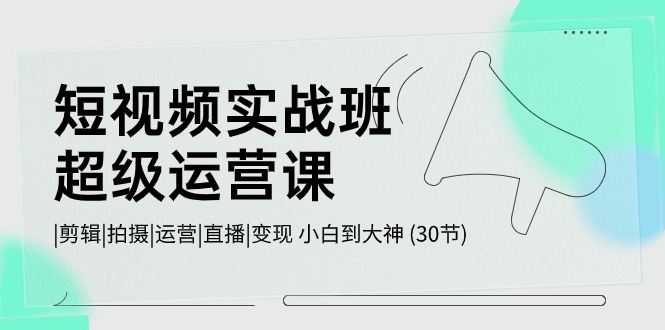 短视频实战班超级运营课 |剪辑|拍摄|运营|直播|变现 小白到大神 (30节)-沐颜网创资源