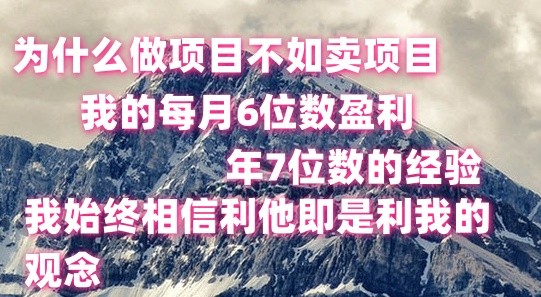 做项目不如卖项目，每月6位数盈利，年7位数经验-沐颜网创资源