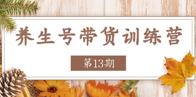 健康养生号卖货夏令营【第13期】盈利更稳定的游戏玩法，使你卖货盈利发生爆炸-沐颜网创资源