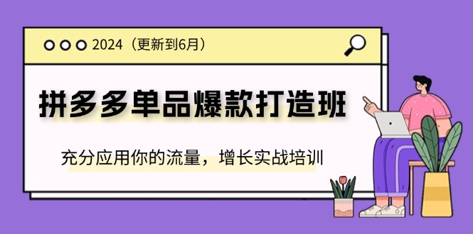 2024拼多多单品爆款打造班，充分应用你的流量，增长实战培训(更新6月)-沐颜网创资源