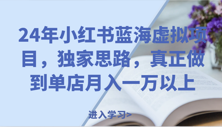 24年小红书的瀚海虚拟资源项目，独家代理构思，充分体现门店月入一万之上。-沐颜网创资源