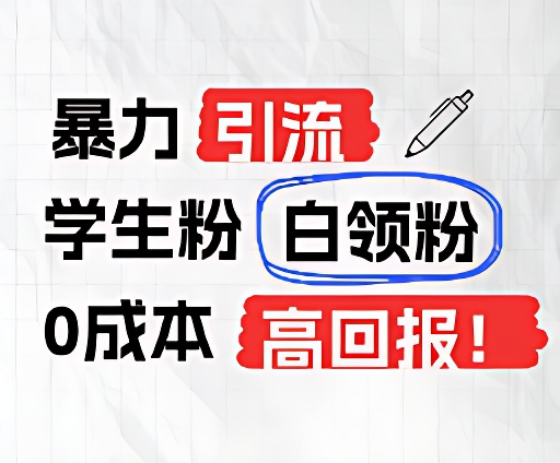 暴力行为引流方法学生们粉上班族粉，完爆过去废弃物游戏玩法，0成本费，高收益-沐颜网创资源
