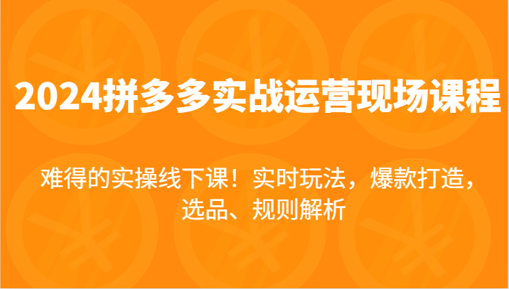 2024拼多多平台实战演练经营当场课，即时游戏玩法，爆款打造，选款、标准分析，不可多得的实际操作面授课！-沐颜网创资源
