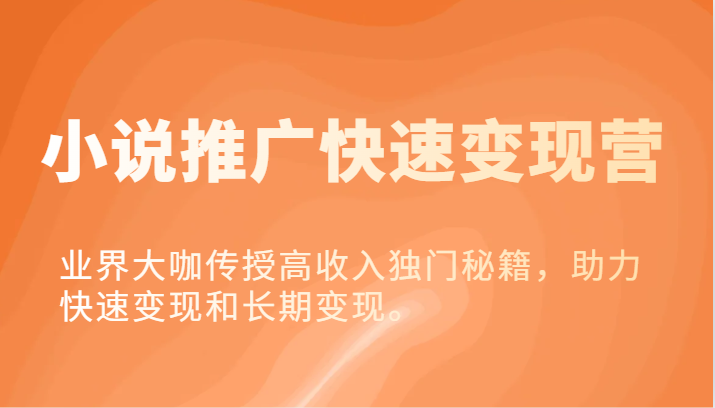 小说集营销推广收益最大化营-业内大佬教给高工资独门秘籍，助推收益最大化或长期转现。-沐颜网创资源