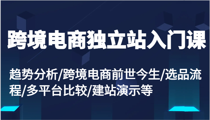 跨境电商电商独立站新手入门课：变化趋势/跨境电子商务来世今生/选款步骤/全平台较为/建网站演试等-沐颜网创资源