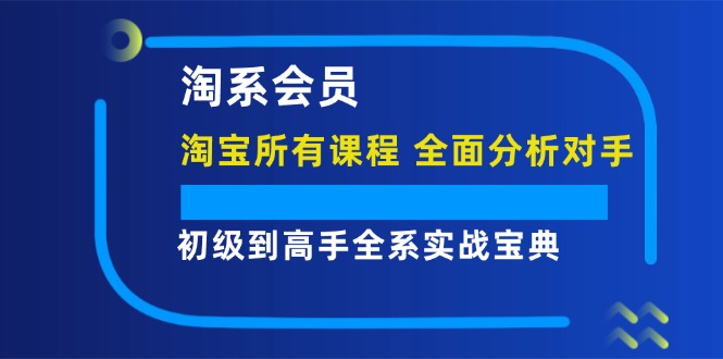 淘系会员初级到高手全系实战宝典【淘宝所有课程，全面分析对手】-沐颜网创资源