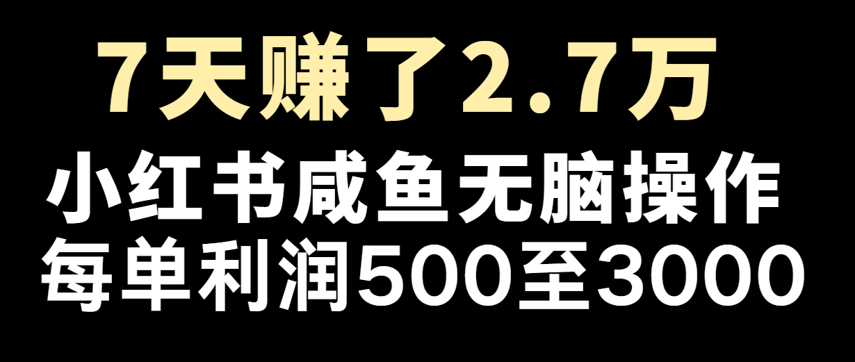 七天挣了2.7万！每单利润至少500 ，轻轻松松月入5万 新手有手就行-沐颜网创资源