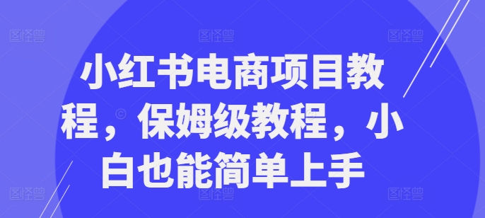 小红书电商新项目实例教程，家庭保姆级实例教程，新手也可以简易入门-沐颜网创资源