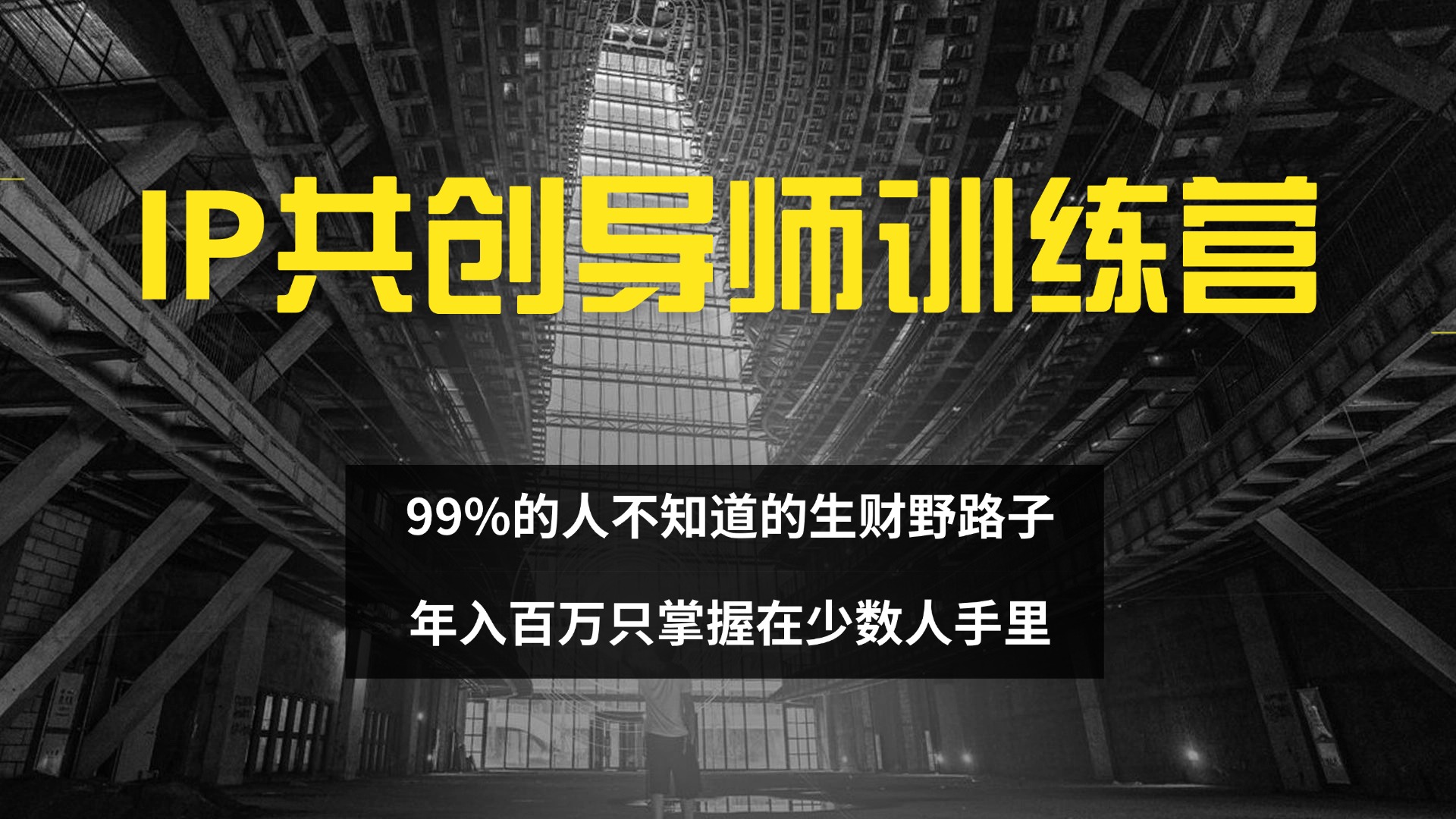 IP共创导师训练营 99%的人不知道的生财野路子 只掌握在少数人手里-沐颜网创资源