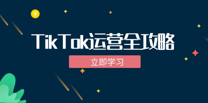 TikTok实战运营全攻略：从下载软件到变现，抖音海外版实操教程-沐颜网创资源