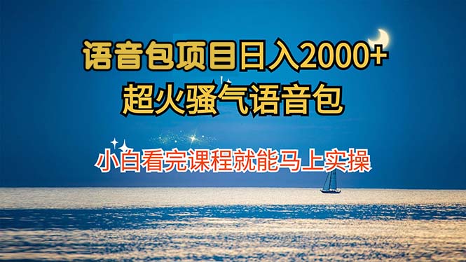 语音包项目 日入2000+ 超火骚气语音包小白看完课程就能马上实操-沐颜网创资源