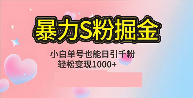 单人单机日引千粉，变现1000+，S粉流量掘金计划攻略-沐颜网创资源