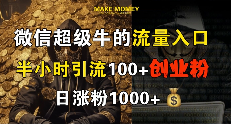 微信超级牛的流量入口，半小时引流100+创业粉，日涨粉1000+-沐颜网创资源