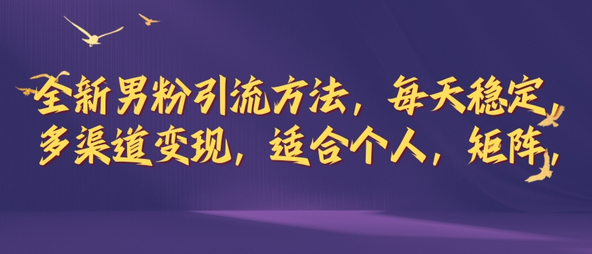 全新男粉引流方法，每天稳定加人，适合个人，矩阵，多渠道变现-沐颜网创资源