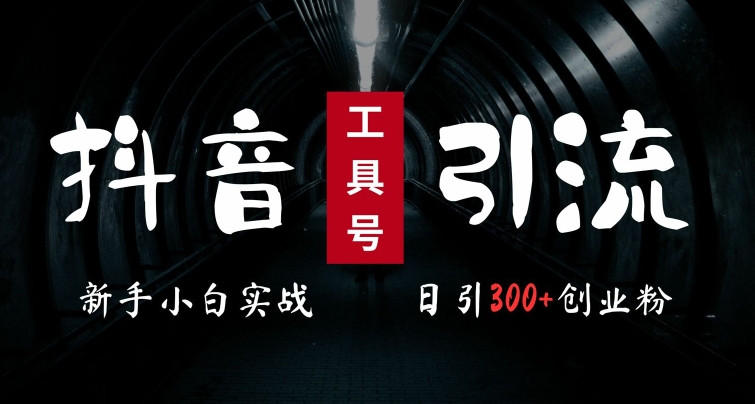 2024最新抖音工具号引流玩法，高效日引300+创业粉，当天变现5k，小白也可成为实战高手-沐颜网创资源