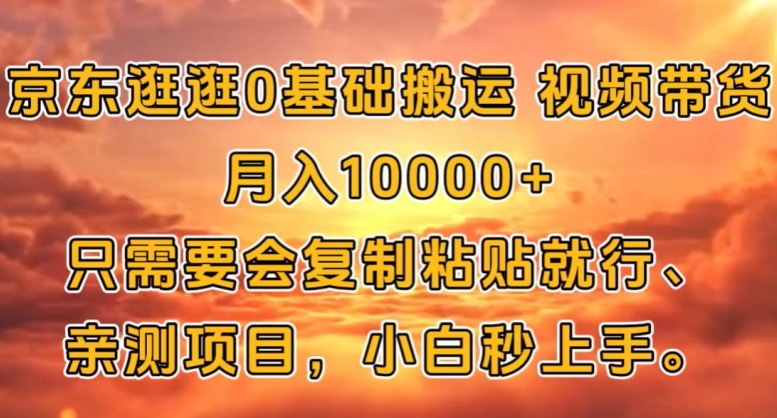 京东商城逛一逛0基本运送短视频带货【手机赚钱】月入1w-沐颜网创资源