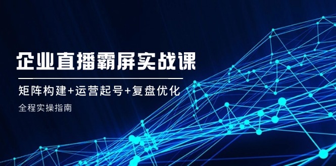 企业直播霸屏实战课：矩阵构建+运营起号+复盘优化，全程实操指南-沐颜网创资源