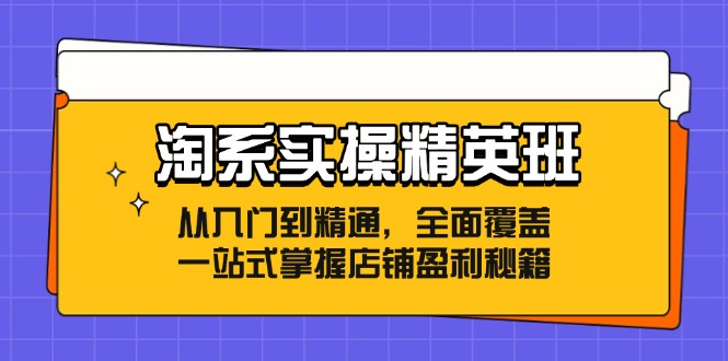 淘宝实际操作精英班：实用教程，全覆盖，一站式把握店面赢利秘笈-沐颜网创资源