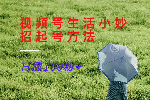 微信视频号生活小窍门共享跑道， 养号增粉新的方法，日涨100粉-沐颜网创资源