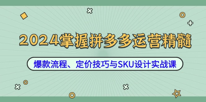 2024掌握拼多多运营精髓：爆款流程、定价技巧与SKU设计实战课-沐颜网创资源