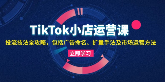TikTok小商店运营课：投流手法攻略大全，包含广告宣传取名 扩量技巧以及市场运营方法-沐颜网创资源